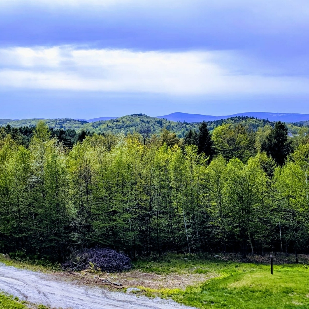 Meet your Posher, Bijoux